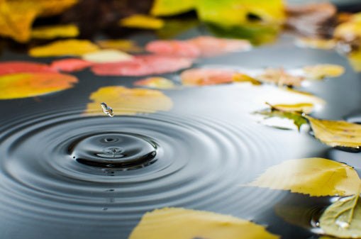 Why Do We Need Water Filter ?